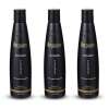 PACK 3 X CHAMPUS 360ML REVIVOGEN MD