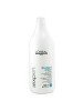 CHAMPU L´ORÉAL CONTROL INSTANT CLEAR ANTICASPA 1500